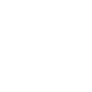 https://roho.life/wp-content/uploads/2018/05/gemini.png