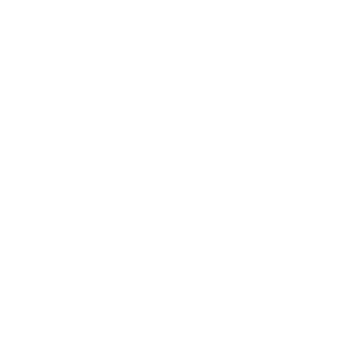 https://roho.life/wp-content/uploads/2018/05/leo.png